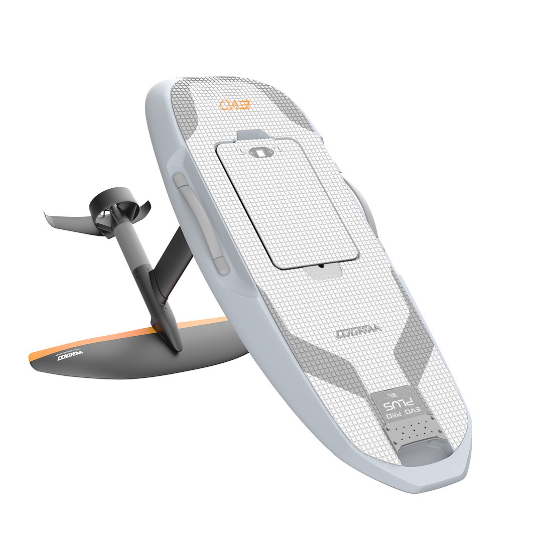 Flyer Evo - Pro Plus